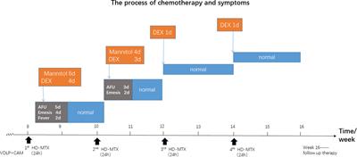 High-Dose Methotrexate-Induced Idiopathic Intracranial Hypertension in Infant Acute Lymphoblastic Leukemia